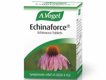 A. Vogel Echinaforce Echinacea Tablets (42 Pack) Cheap