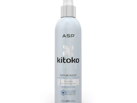 ASP Kitoko Arte - Texture Boost 250ml Hot on Sale