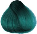 Herman s Amazing Tammy Turquoise For Discount